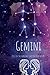 Gemini Journal