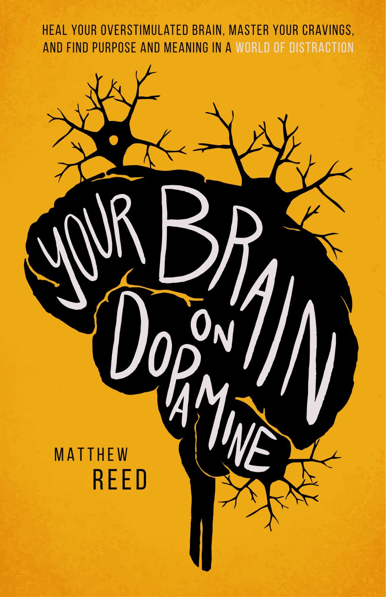 Your Brain on Dopamine: Heal Your Overstimulated Brain, Master Your Cravings, and Find Purpose and Meaning in a World of Distraction (Kindle Edition)