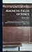 Magnetic Fields of Force: An Exposition of the Phenomena of Magnetism, Electro-Magnetism, and Induction Based On the Conception of Lines of Force, Part 1