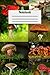 Composition Notebook: Bright Colorful Groovy Mushrooms - 6" X 9" 100 pages