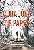 Corações de Papel
