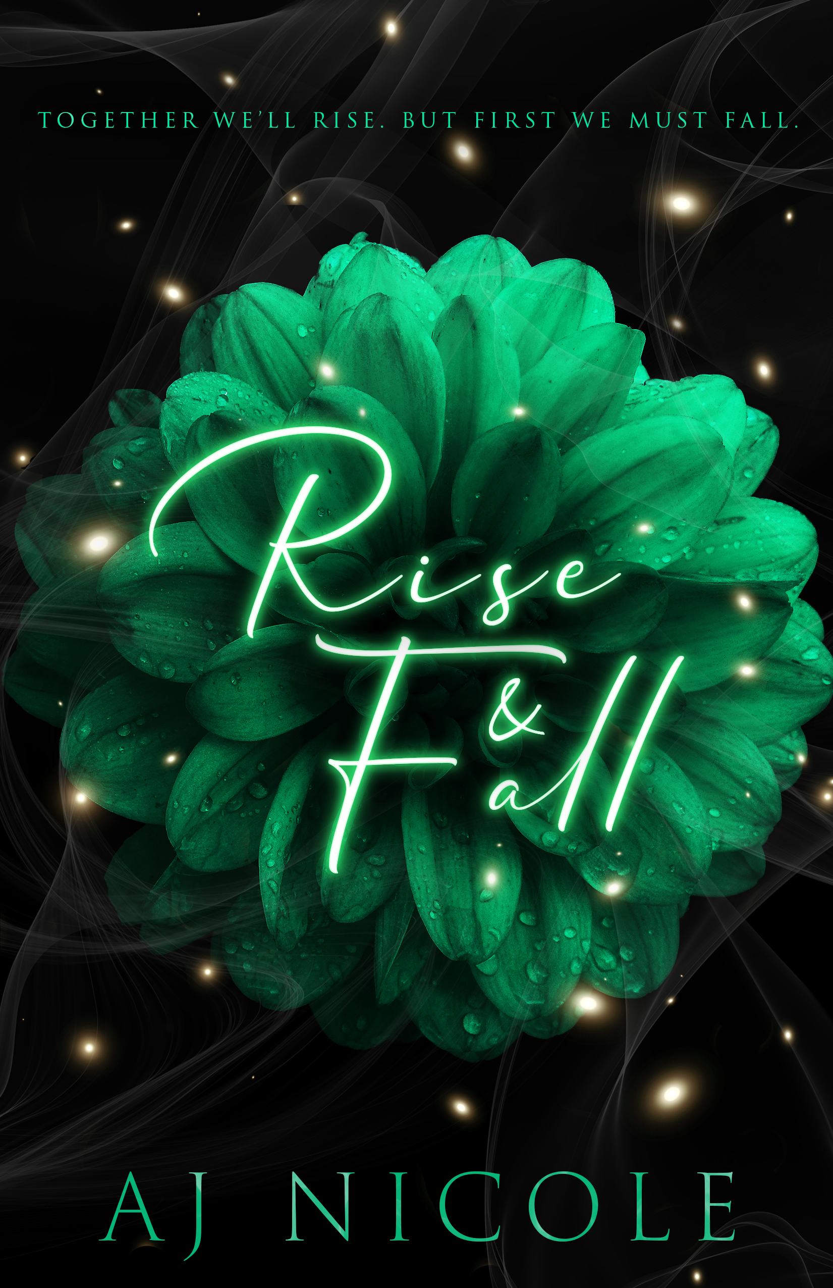 Rise & Fall (Pain & Pleasure, #2)