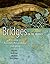 Bridges on the Journey: Choosing an Intimate Relationship with Jesus (A Woman's Journey of Discipleship)
