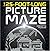 The 25-Foot-Long Picture Maze