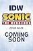 IDW Endless Summer—Sonic the Hedgehog (Sonic The Hedgehog by Gale Galligan IDW Endless Summer—Sonic the Hedgehog (Sonic The Hedgehog by Gale Galligan