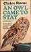 Owl Came to Stay