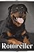 Rottweiler: Dog breed overv...