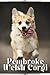 Pembroke Welsh Corgi: Dog b...