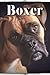 Boxer: Dog breed overview and guide