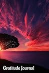 Daily Gratitude Journal