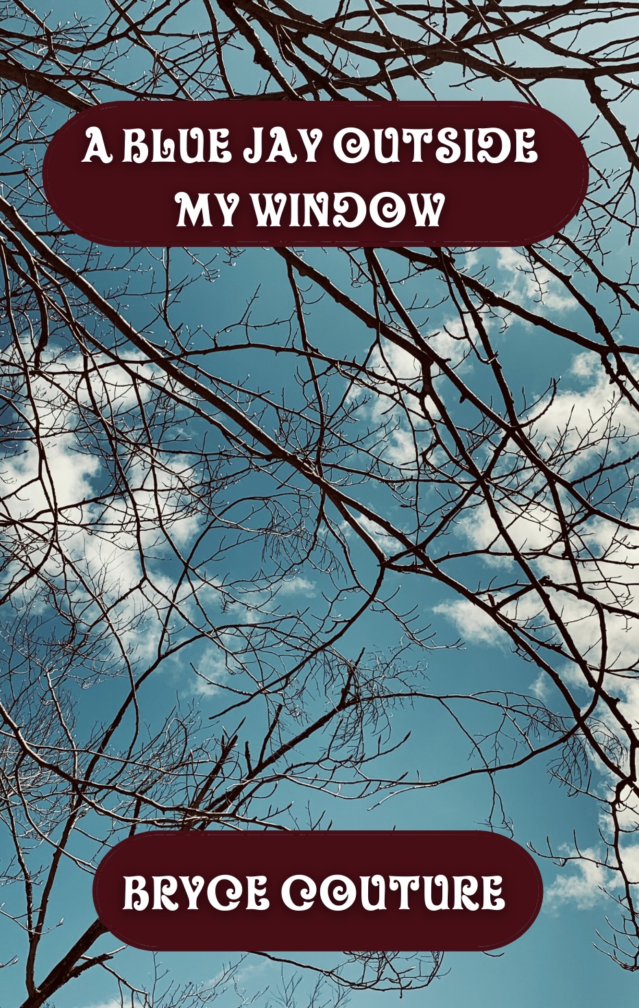 A Blue Jay Outside My Window