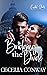 Bridging the Divide (Capitol Shorts, #1)