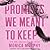 Promises We Meant to Keep (Lancaster Prep, #3)
