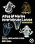 Atlas of Marine Invertebrat...