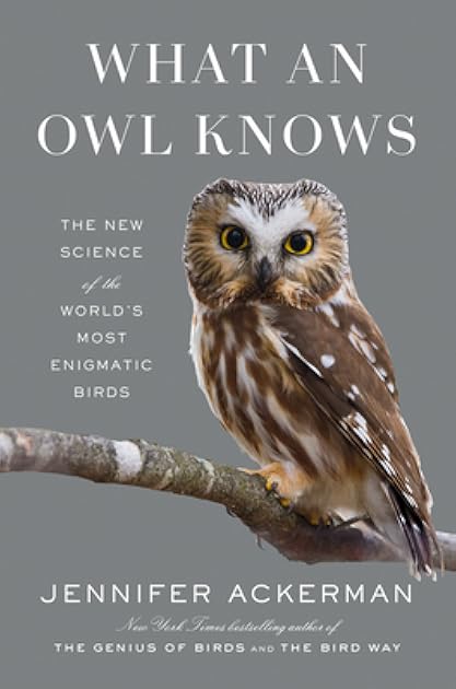 What an Owl Knows: The New Science of the World's Most Enigmatic Birds