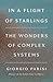 In a Flight of Starlings: The Wonders of Complex Systems