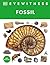 Eyewitness Fossil (DK Eyewitness)