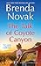 The Talk of Coyote Canyon (Coyote Canyon, #2)