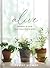 Alive by Lifeway Women