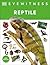Eyewitness Reptile (DK Eyewitness) by D.K. Publishing