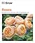 Grow Roses Essential Know-how and Expert Advice for Gardening Success (DK Grow) by Philip Clayton
