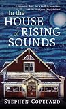 In the House of Rising Sounds: A Boisterous Music Bar, a Faith in Transition, and the Thin Space They Inhabited