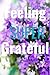 Gratitude Journal: A great ...