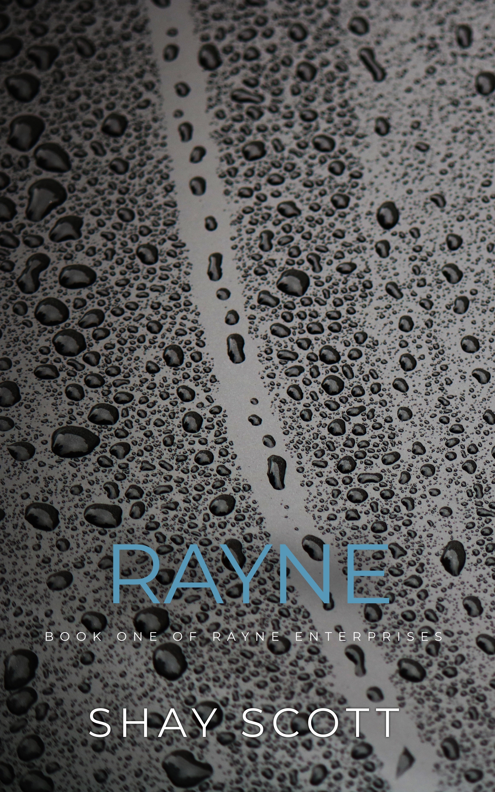 Rayne (Rayne Enterprises Book 1)