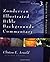 Illustrated Bible Backgrounds Commentary, Vol. 3: Romans to Philemon