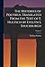 The Histories of Polybius. Translated From the Text of F. Hultsch by Evelyn S. Shuckburgh; Volume 2