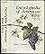 Encyclopedia of American Wine