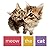 Meow the Cat