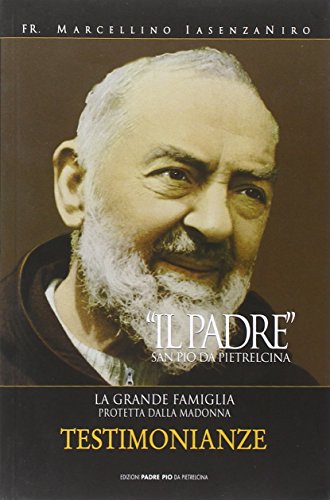 Il Padre. San Pio da Pietrelcina. La grande famiglia protetta dalla Madonna Vol. 3 (Paperback)