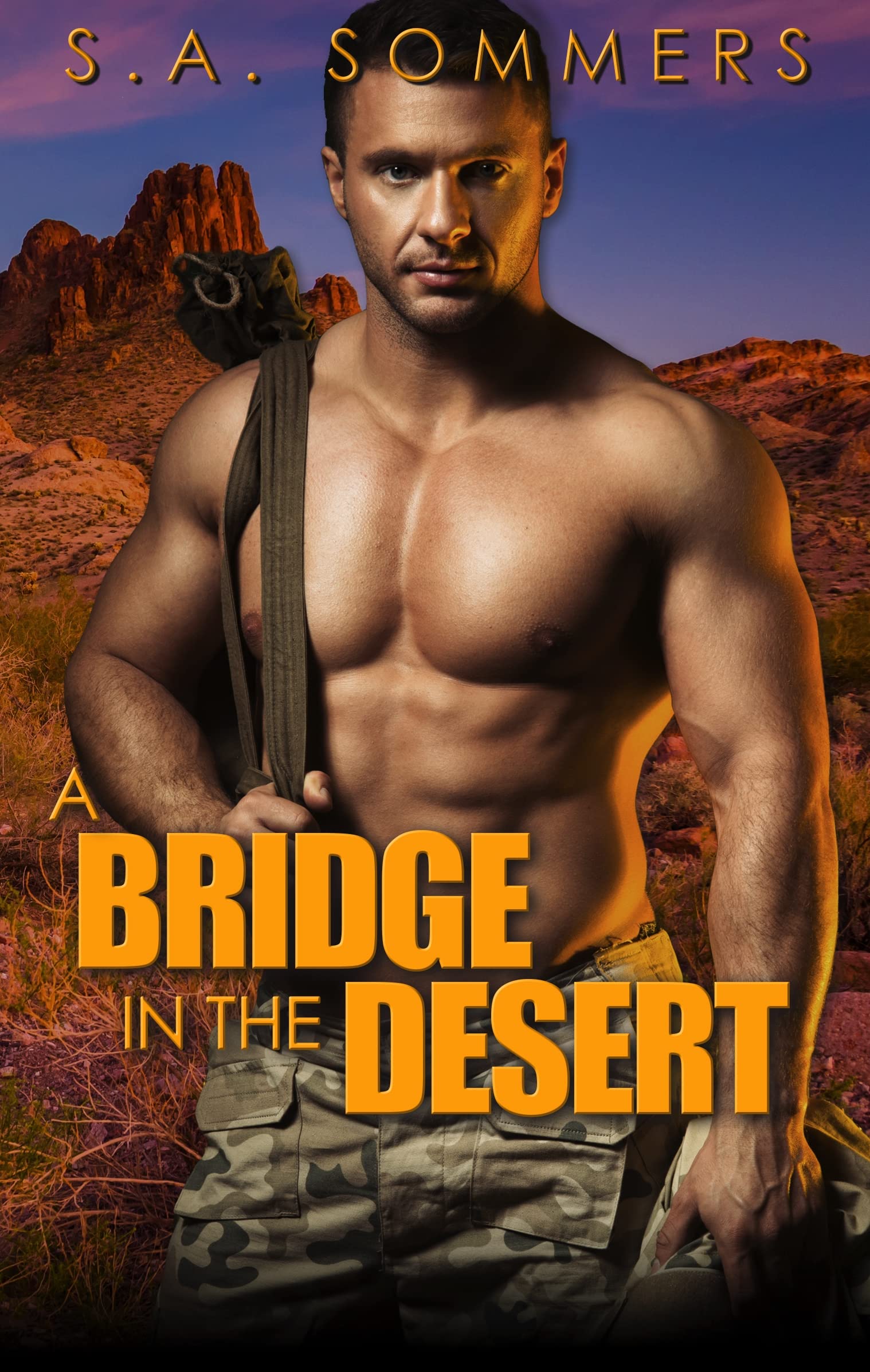 A Bridge in the Desert (Kindle Edition)