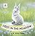 Lost in the Meadow: A Rabbi...