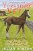 Adventures with a Yorkshire Vet by Julian Norton