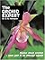 The Orchid Expert