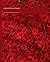 RED ROSES COMPOSITION NOTEBOOK by R. Simpson