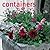 Containers: 40 inspirational ideas for transforming your outside space with container gardening, from window boxes to patio tubs and from spring flowers to a port