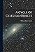 A Cycle Of Celestial Objects
