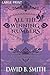 All the Winning Numbers: LARGE PRINT (Rachel Marie Series)