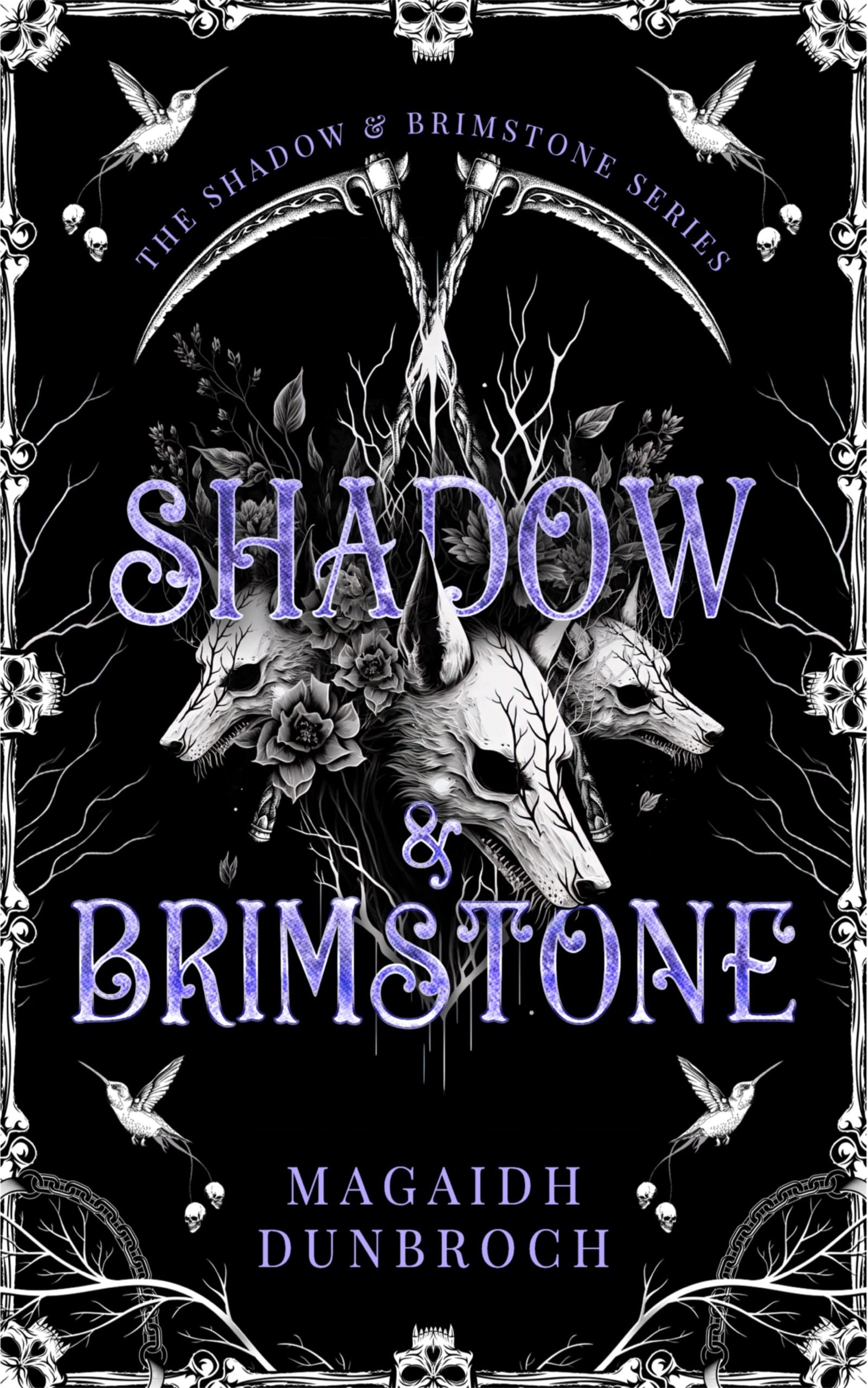 Shadow & Brimstone (Kindle Edition)