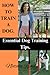 HOW TO TRAIN A DOG: Essenti...