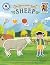 Gumboot Kids' Sheep Activit...
