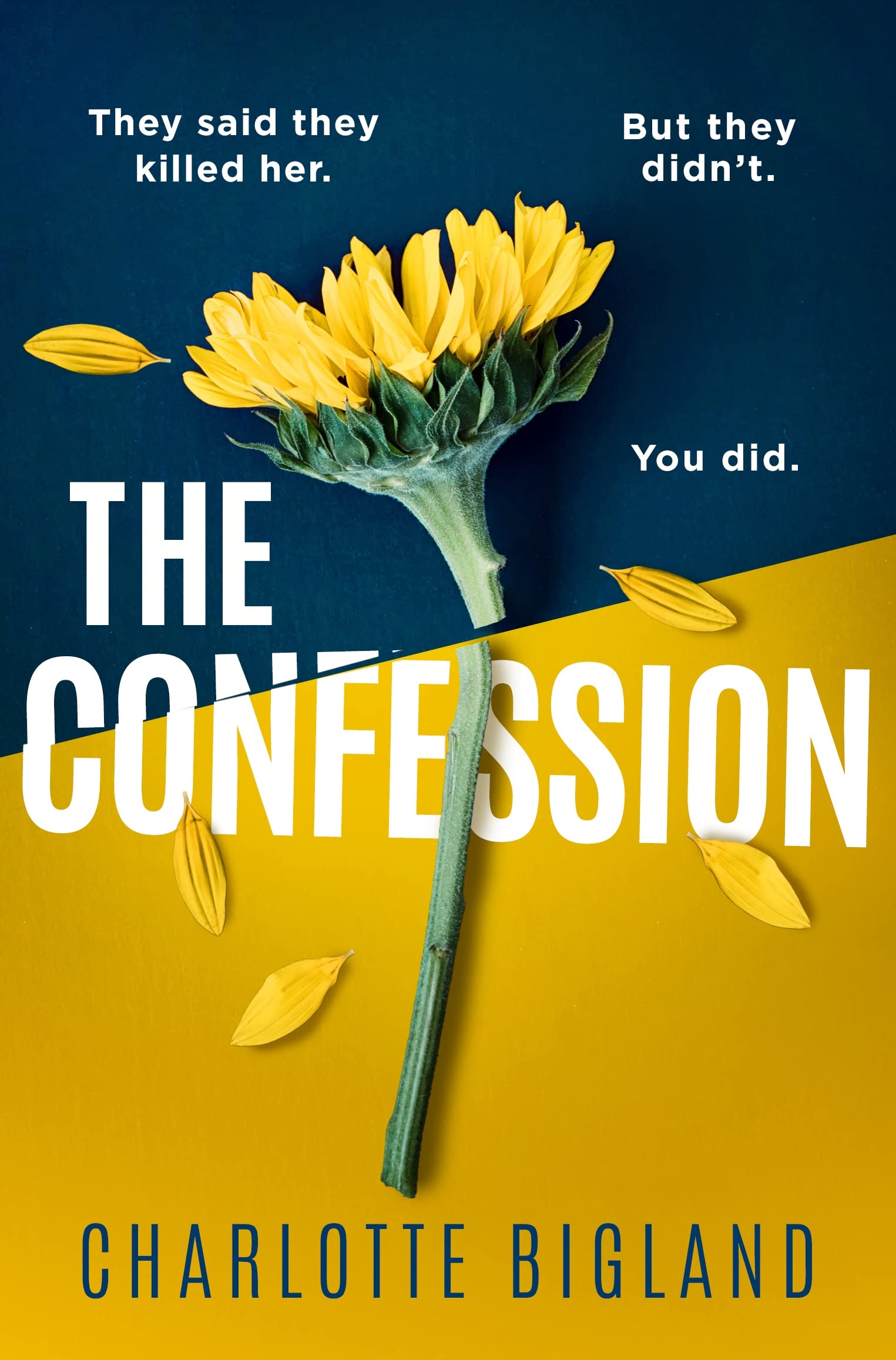 The Confession (Kindle Edition)