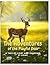 The Adventures of the Playful Deer: A Tale of Light and Shadows