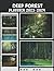 Deep Forest Monthly Planner 2023 - 2024 by Jonathan Berry