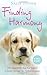 Finding Harmony: The Dog that Taught a Young Woman to Live Again