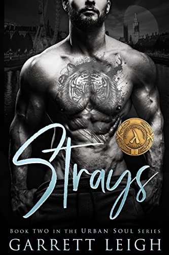 Strays (Urban Soul #2)