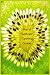 Hard Seltzer Tasting Guide:...